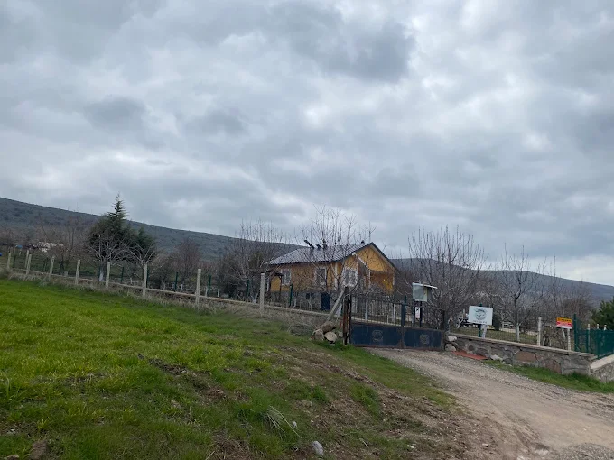 Çatı Projesi 4